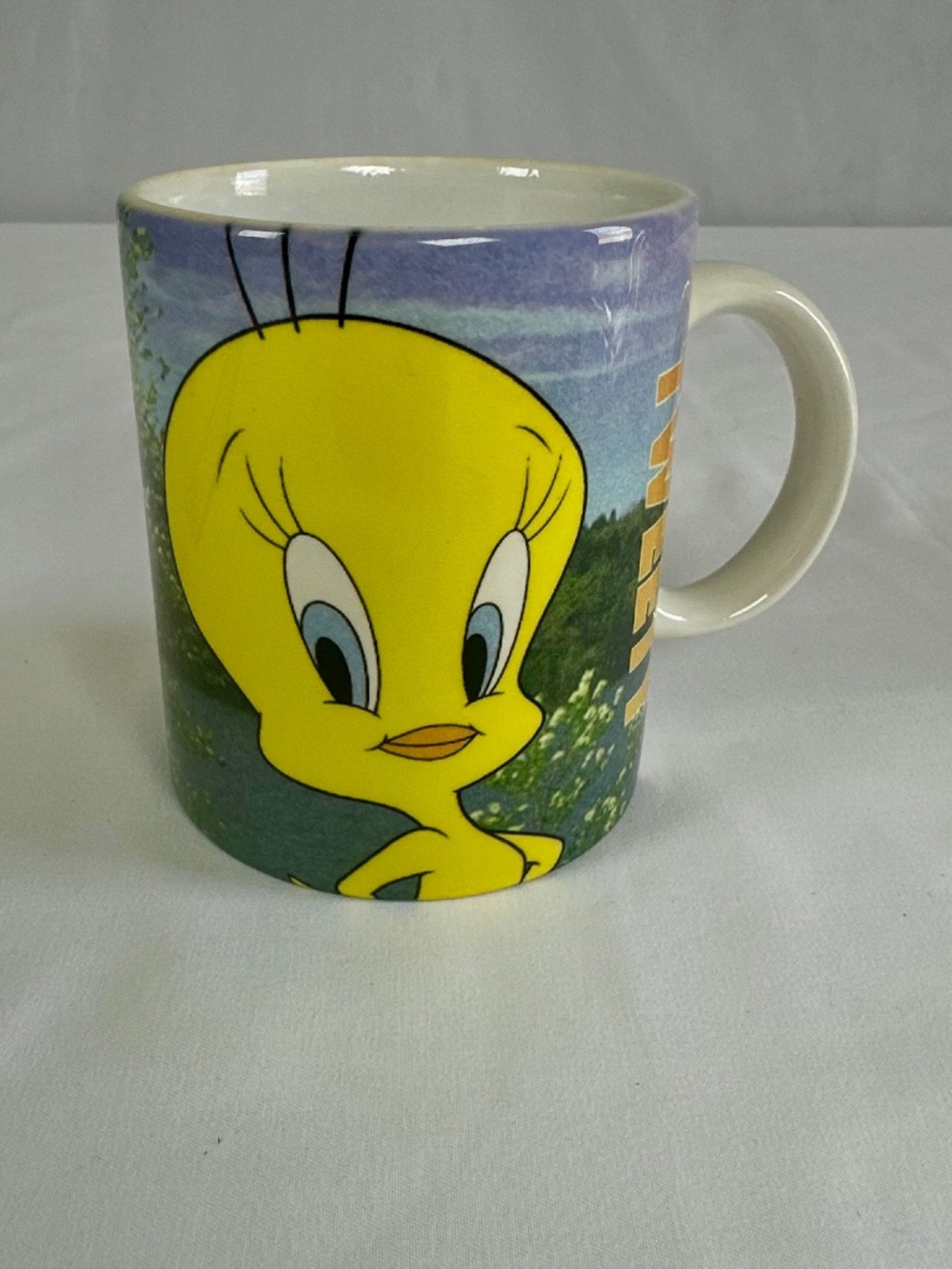 Looney Tunes Vintage 1996 Tweety Bird & Sylvester Ceramic Mug Warner Brothers